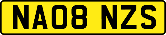 NA08NZS
