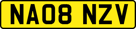 NA08NZV