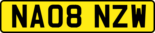 NA08NZW