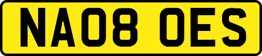 NA08OES