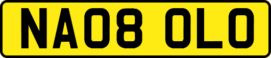 NA08OLO