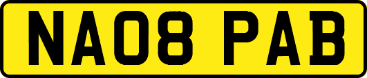 NA08PAB