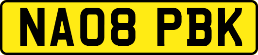 NA08PBK