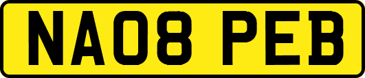NA08PEB