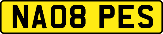 NA08PES