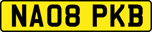 NA08PKB