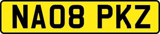 NA08PKZ