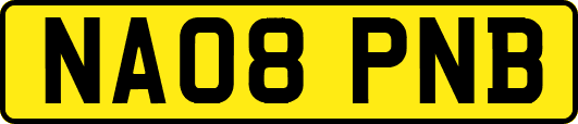 NA08PNB