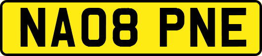 NA08PNE
