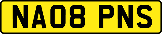 NA08PNS