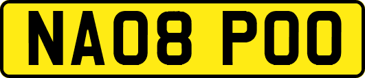 NA08POO