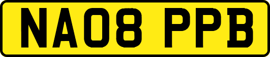 NA08PPB