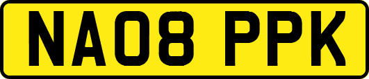 NA08PPK