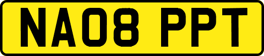 NA08PPT