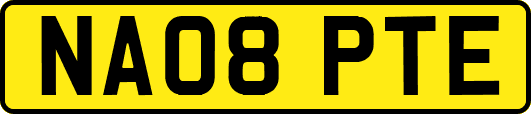 NA08PTE