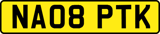 NA08PTK