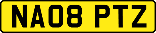 NA08PTZ