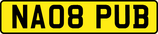 NA08PUB