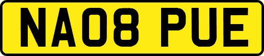 NA08PUE