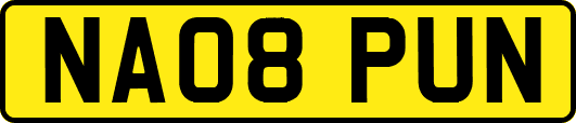 NA08PUN