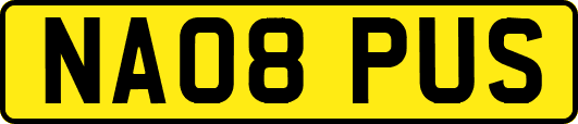 NA08PUS