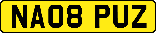 NA08PUZ