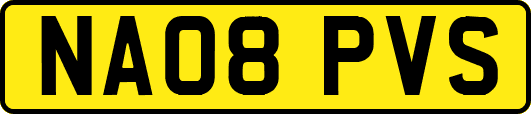 NA08PVS