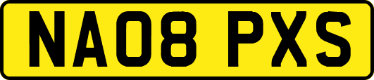 NA08PXS