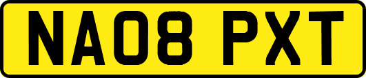 NA08PXT