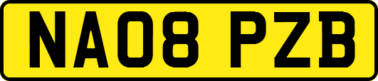 NA08PZB