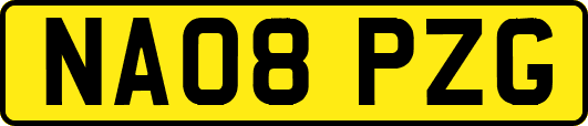NA08PZG