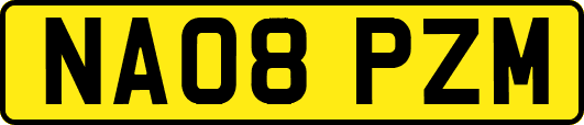 NA08PZM