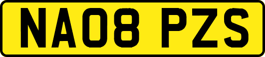 NA08PZS