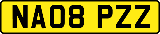 NA08PZZ