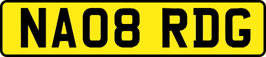 NA08RDG