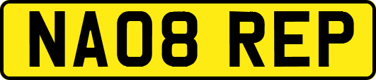 NA08REP