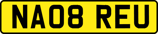 NA08REU