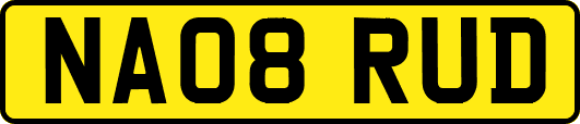 NA08RUD