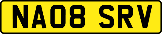 NA08SRV