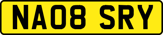 NA08SRY