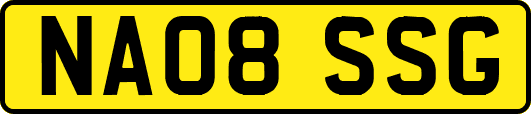 NA08SSG
