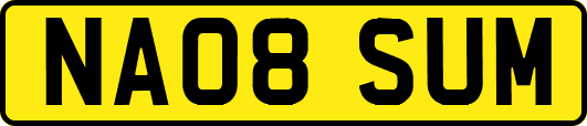 NA08SUM