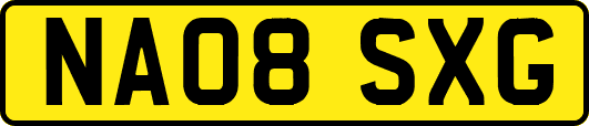 NA08SXG