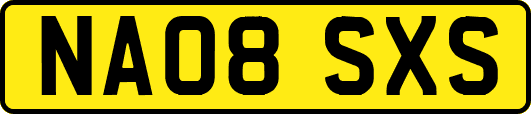 NA08SXS