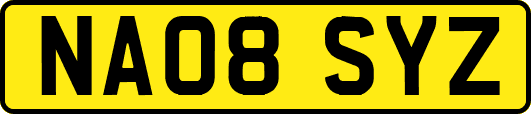 NA08SYZ
