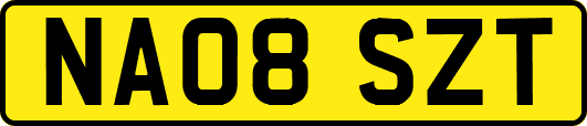 NA08SZT