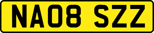 NA08SZZ