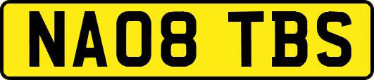 NA08TBS