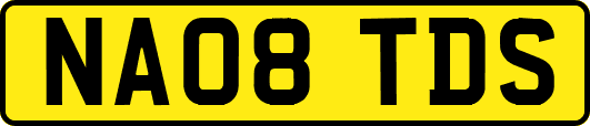 NA08TDS