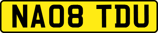 NA08TDU